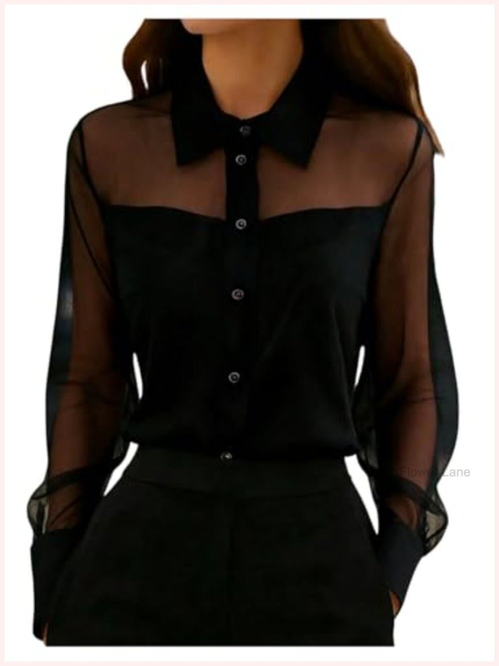 Sheer Mesh Long Sleeve Blouse Collared Office Wear